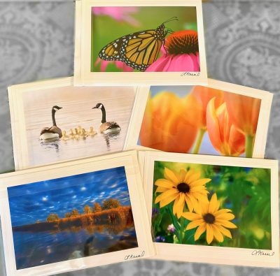Cards - Linda Kassil