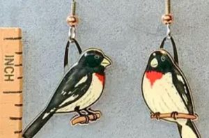 Rose Breasted Grosbeak