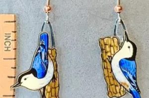 White Breasted Nuthatc