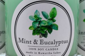 Mint Eucalyptus