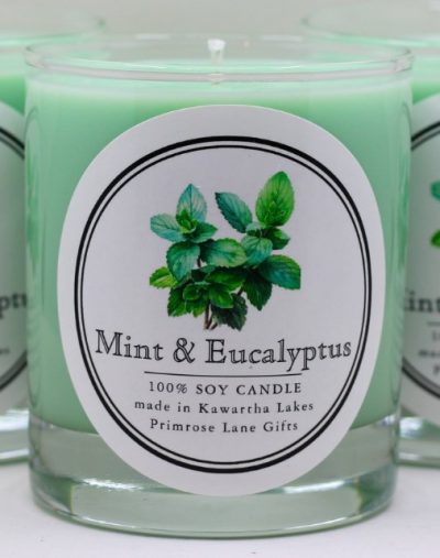 Primrose Lane Candle - Eucalyptus & Mint