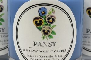 Pansy