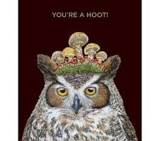 Hoot Owl