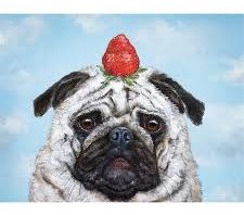 Strawberry Pug