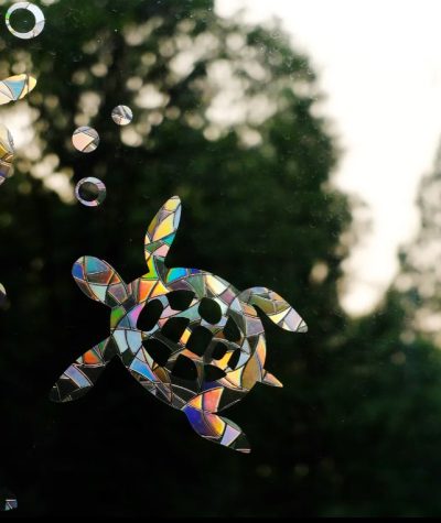 Window Gems - Sea Turtle (7 Pack)