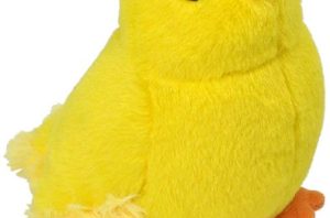 Baby Chick
