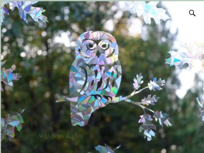 Window Gems - Saw-Whet Owl (11 Pack)