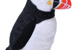 Puffin