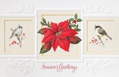 Boxed Pumpernickel Press Cards - Christmas Trio