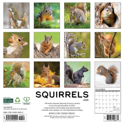 2025 Calendar - Squirrels