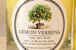 Lemon+verbena+group+shot+#2