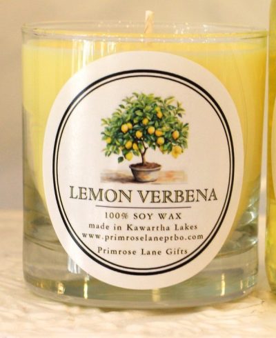 Lemon+verbena+group+shot+#2