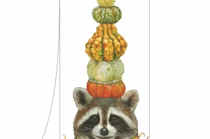 Ricky raccoon