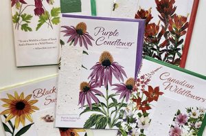 Cards & Calendars